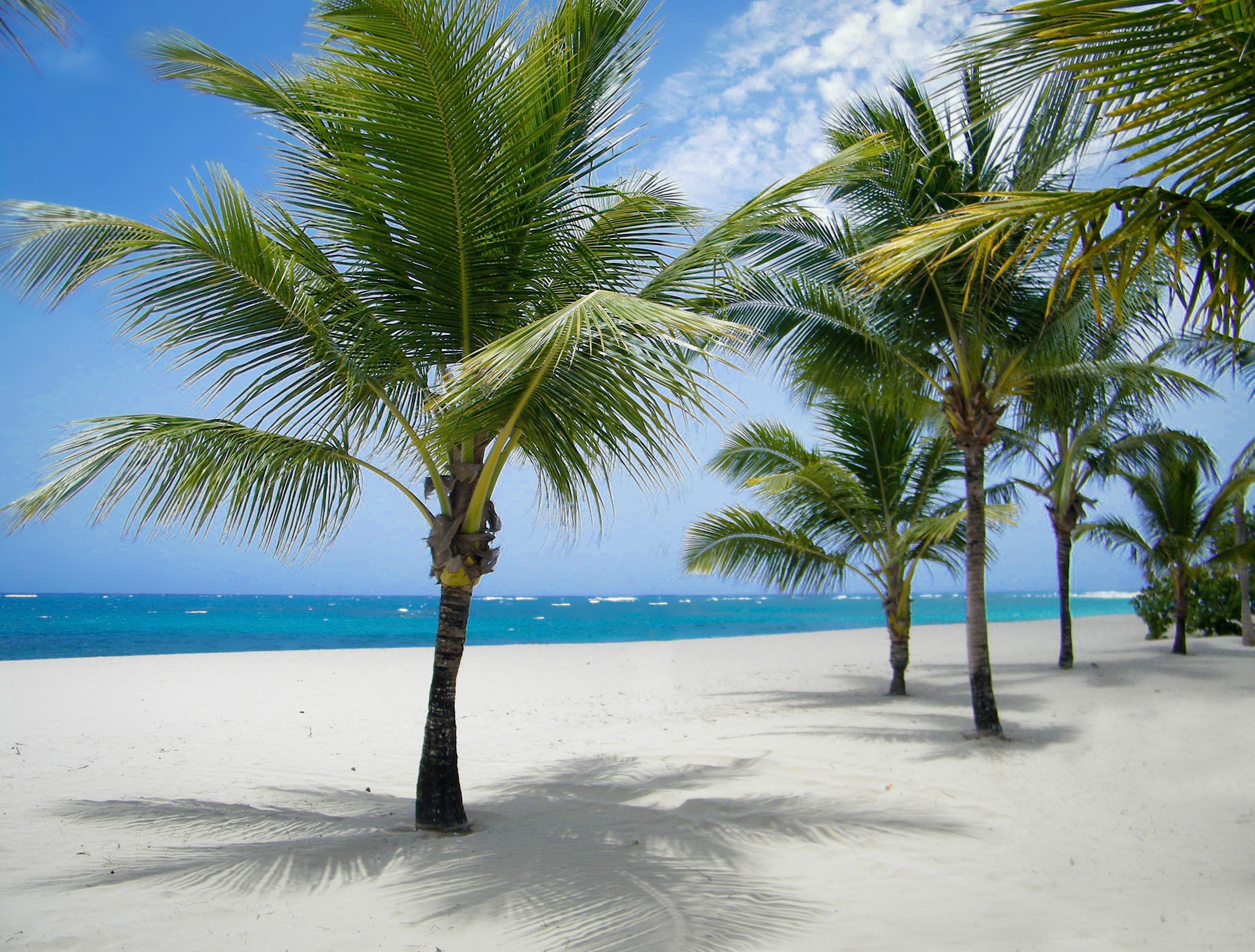 Viva Heavens By Wyndham, A Trademark All Inclusive (Adults Only) Puerto Plata Exterior photo